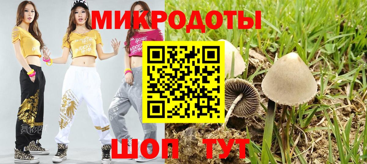 Псилоцибиновые грибы GOLDEN TEACHER Малгобек